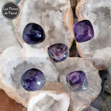 Pierre Roulée Polie Améthyste du Brésil Grade A de 2 x 2 cm 18 g