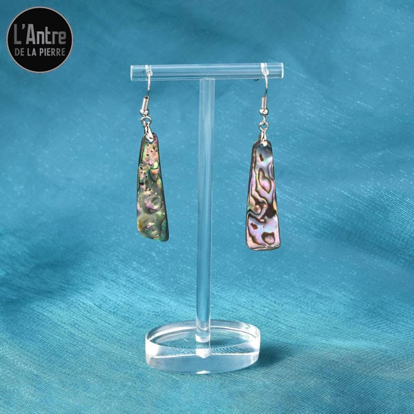 Longues Boucles d'Oreilles en Ormeau et Crochets en Acier Inoxydable 304