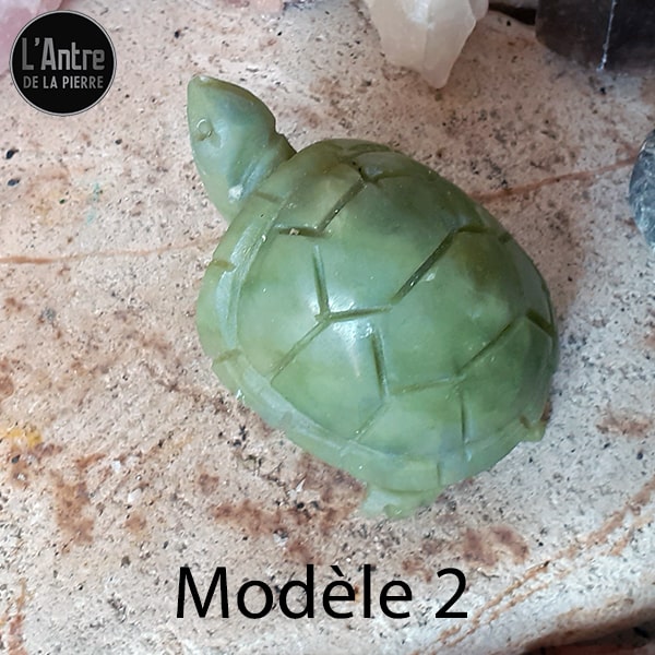 Arrivée d'une Nouvelle Tortue en Jade Néphrite du Canada, de 80 mm environ