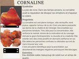 Commande Christine M. - Bracelet Citrine, Cornaline et Grenat Almandin avec un Arbre de Vie et des Breloques Argentées