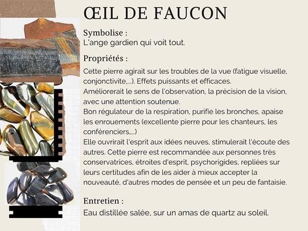 Vertus et propriétés de l'œil de faucon