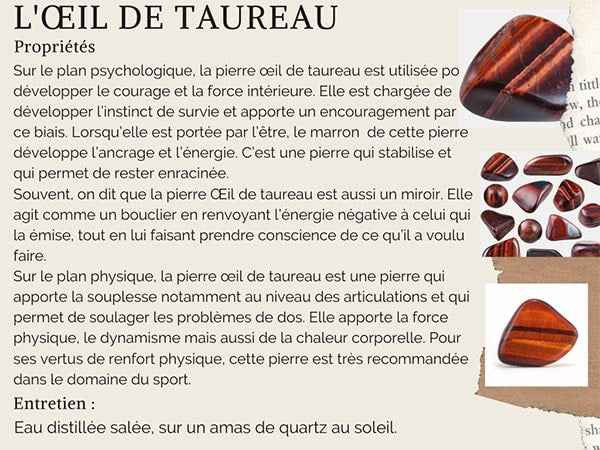 Vertus et propriétés de l'œil de taureau